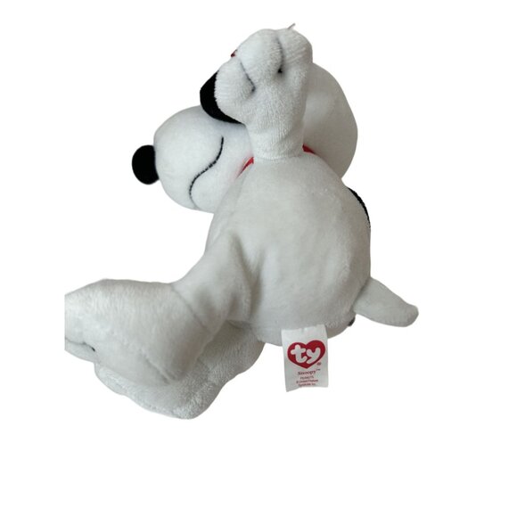 Ty Peanuts Snoopy & Woodstock Plush Toy Lot 6.5"-9" 2011-2018 Collectible Set - Picture 5 of 6